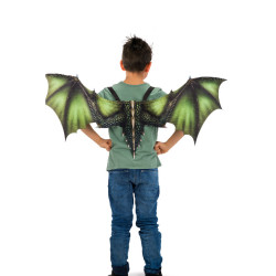 Dětská dračí křídla